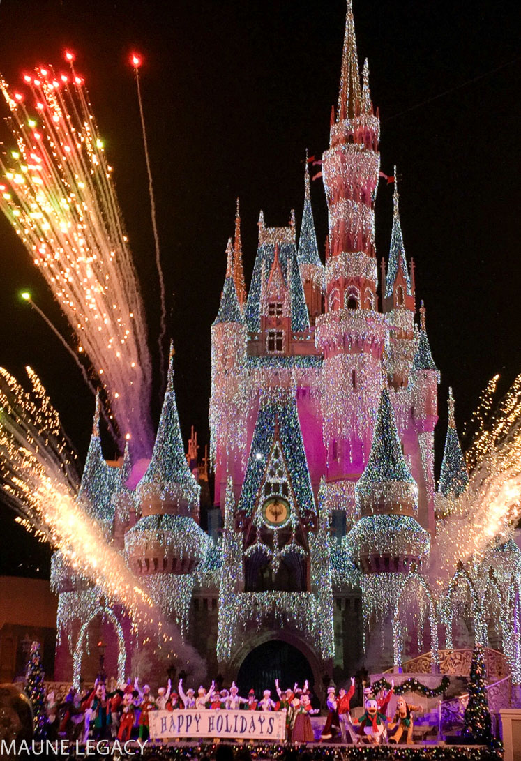 Popular lifestyle blogger Maune Legacy shares her Disney World experiences. From the tea party to the pirate league, there are so many unique experiences available. Check out these ideas and pin for your future trip!