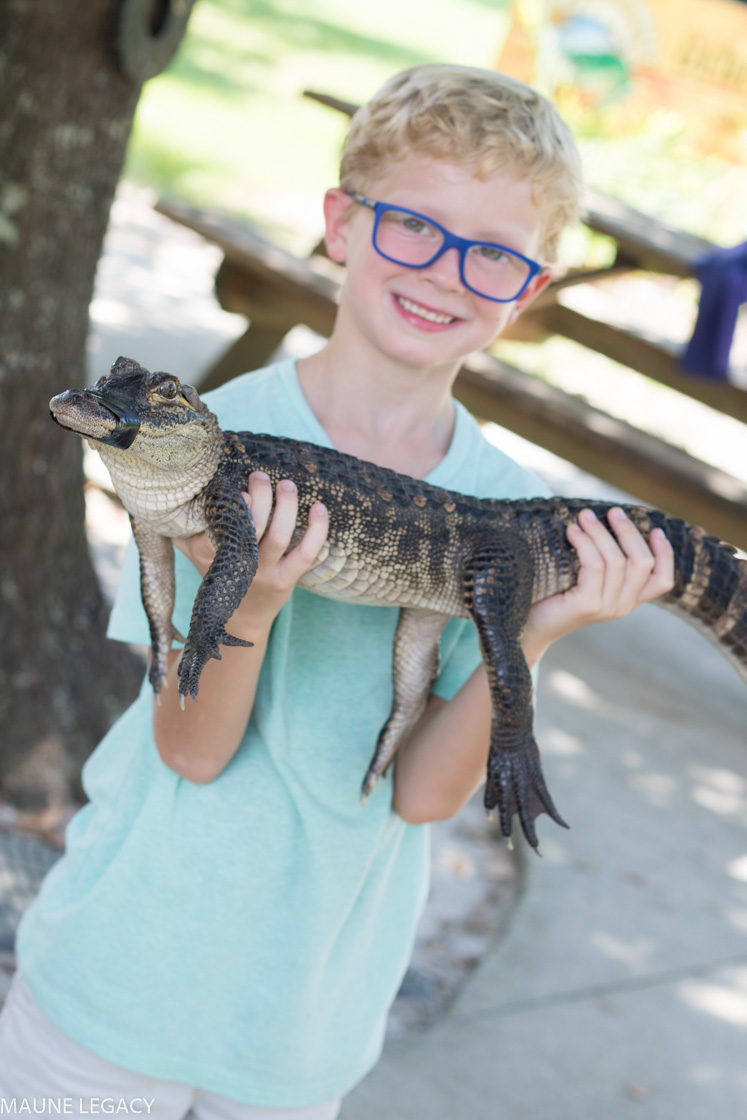 Arkansas lifestyle blogger, Jennifer from Maune Legacy, shares a Gulf Shores Family Vacation guide. Click here for the must-see family activities!