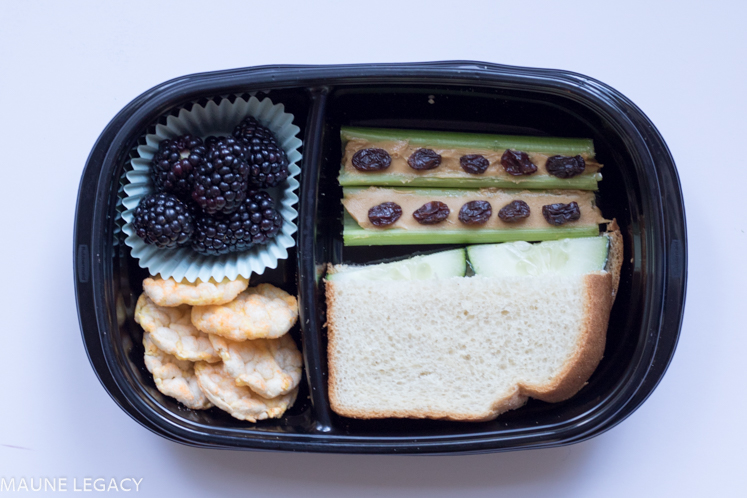 Arkansas lifestyle blogger, Jennifer from Maune Legacy, shares healthy lunch box ideas to get your child through the week. Click for the meal plan!