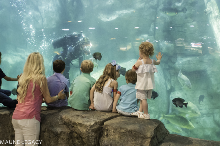 Top Arkansas lifestyle blogger, Jennifer from Maune Legacy, shares fun things to do in Memphis with kids. Click for her Tennessee family vacation guide!
