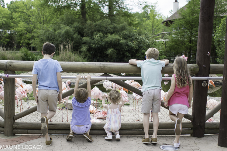 Top Arkansas lifestyle blogger, Jennifer from Maune Legacy, shares fun things to do in Memphis with kids. Click for her Tennessee family vacation guide!