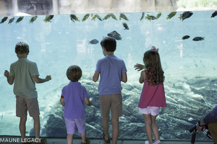 Top Arkansas lifestyle blogger, Jennifer from Maune Legacy, shares fun things to do in Memphis with kids. Click for her Tennessee family vacation guide!