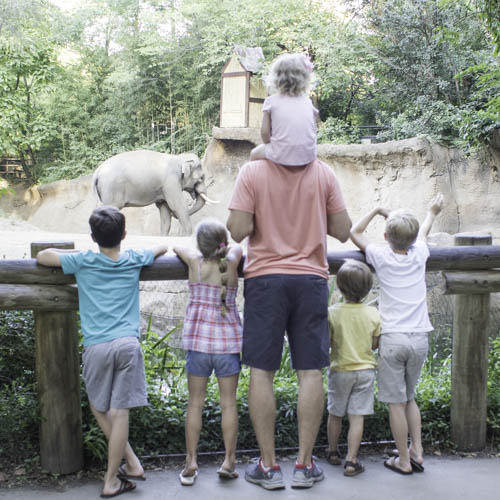 Family travel blogger, Jennifer Maune, shares the top 10 things to do in St. Louis with kids. Click here to see at the must-do activities in St. Louis!