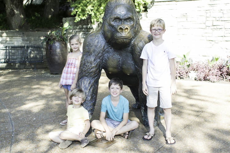 The St Louis Zoo is perfect for kids of all ages