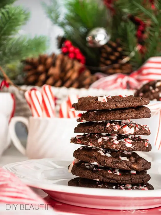 chocolate peppermint fudge cookie recipe